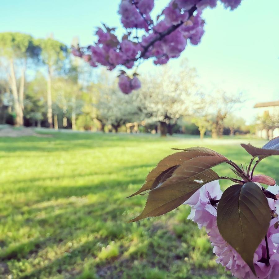 Oasi Borghetto Verde Castellaro  Екстер'єр фото